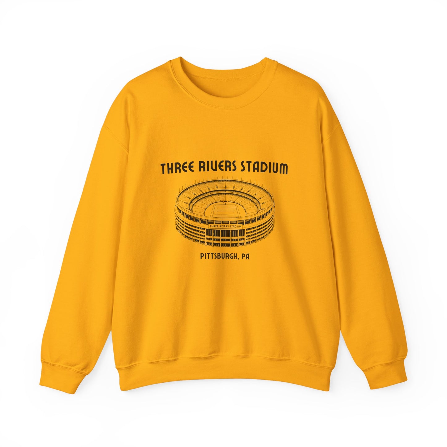 Vintage Pittsburgh Three Rivers Stadium Crewneck