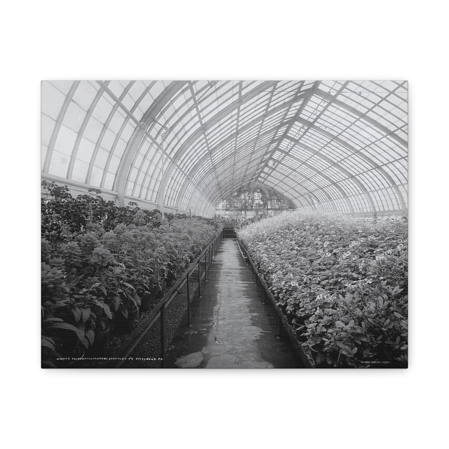 Vintage Pittsburgh Phipps Canvas Print