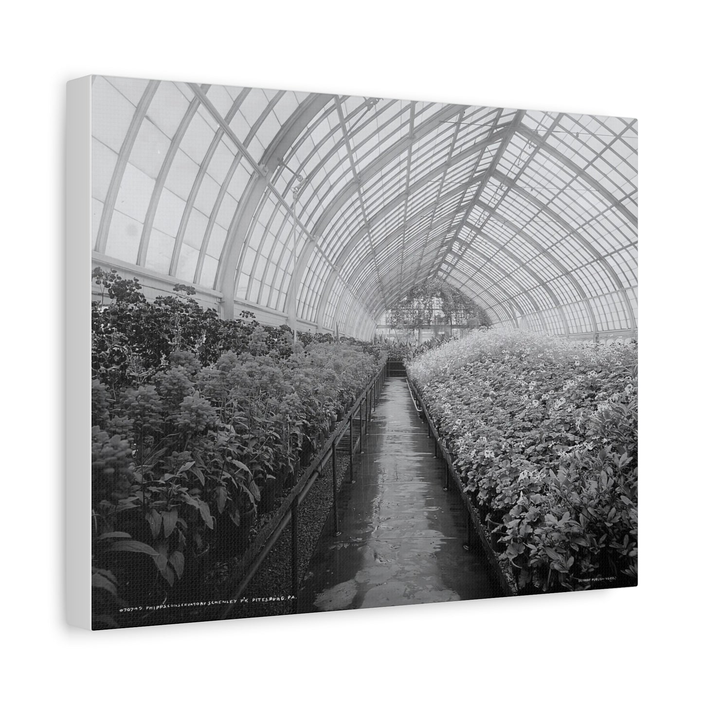 Vintage Pittsburgh Phipps Conservatory Canvas Print