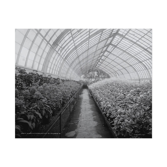 Vintage Pittsburgh Phipps Print