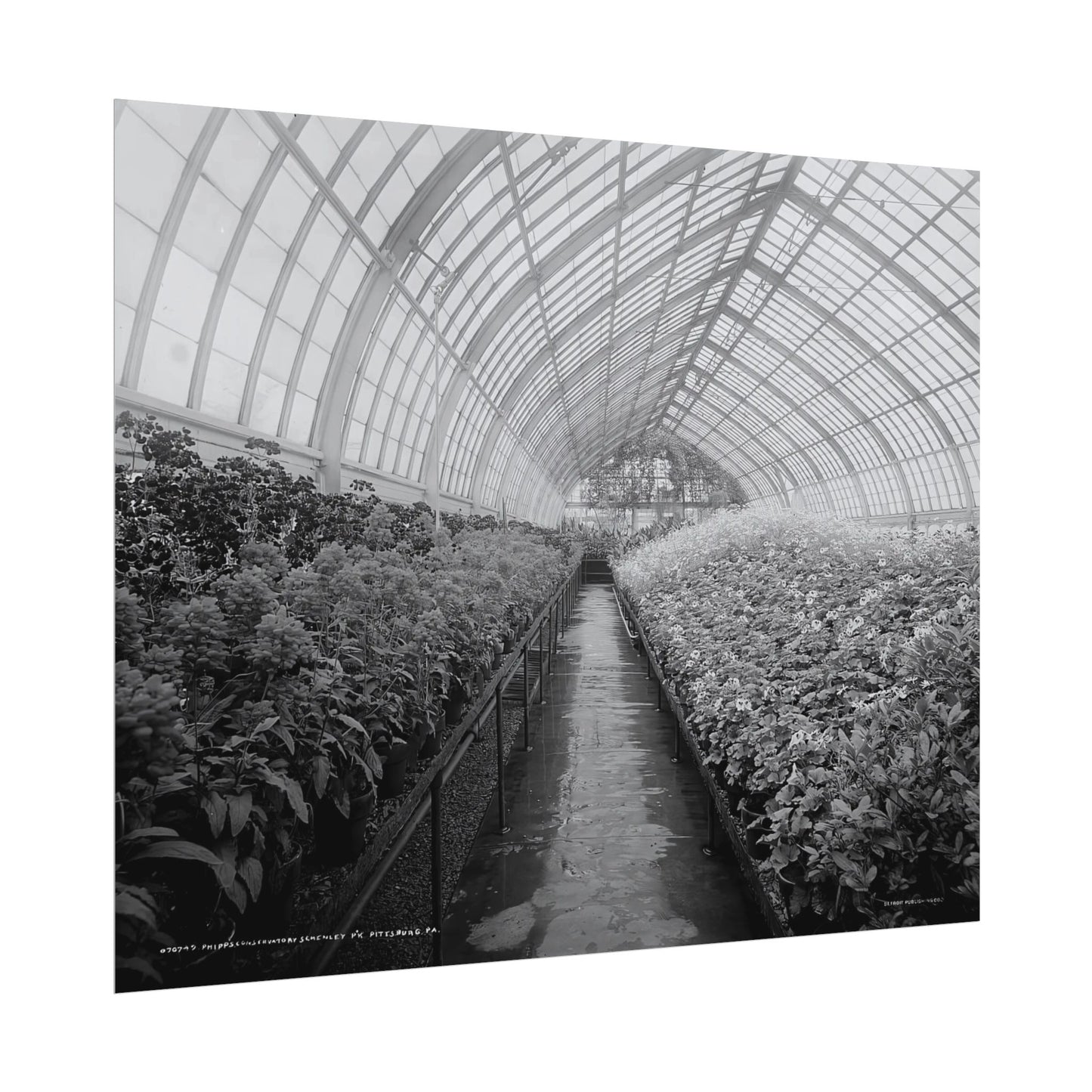 Vintage Pittsburgh Phipps Print