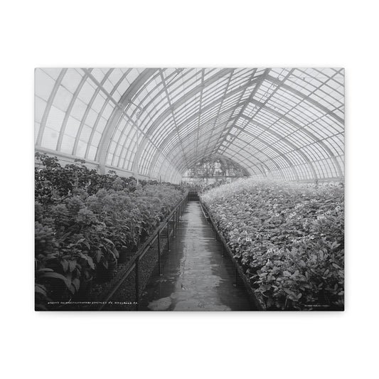 Vintage Pittsburgh Phipps Conservatory Canvas Print