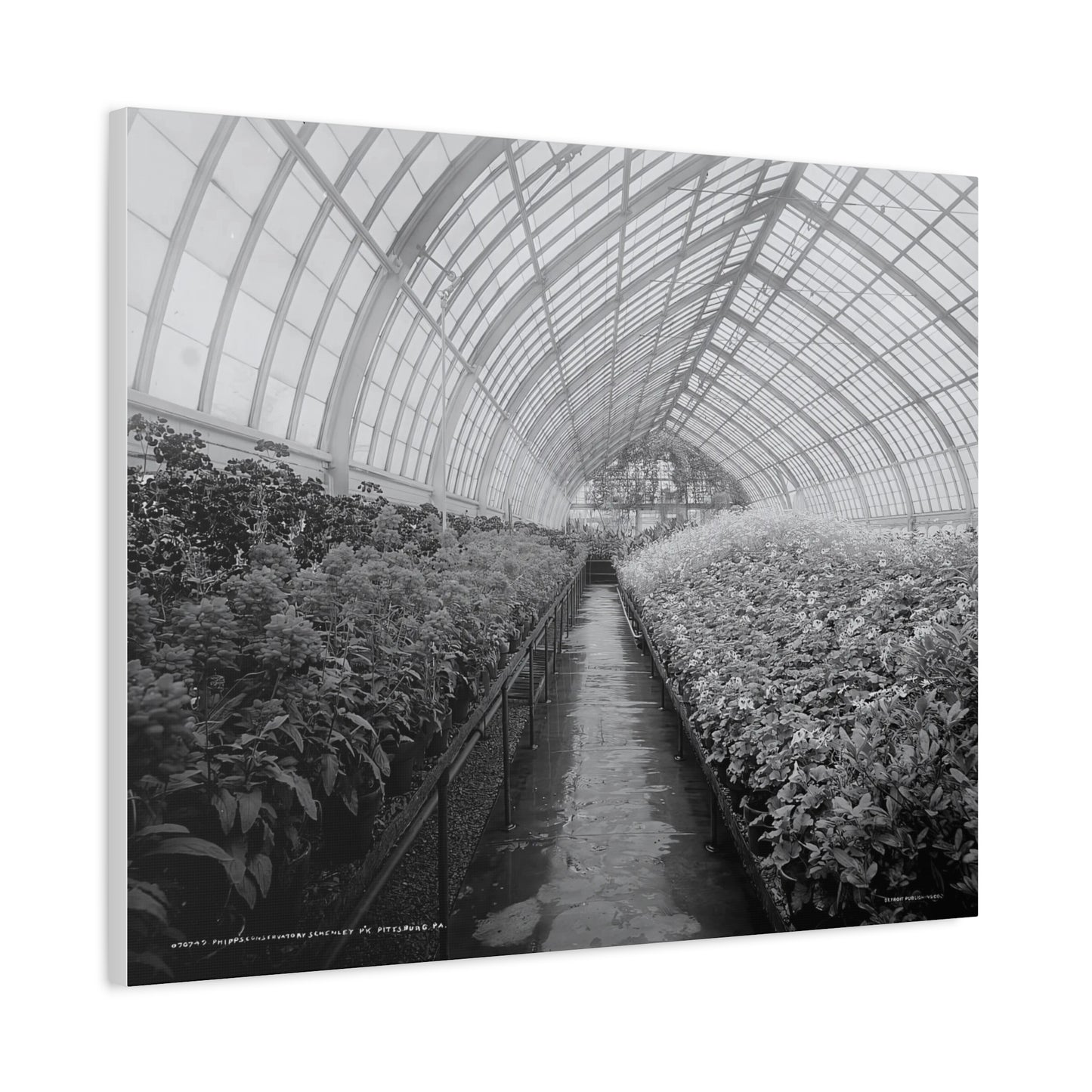 Vintage Pittsburgh Phipps Conservatory Canvas Print