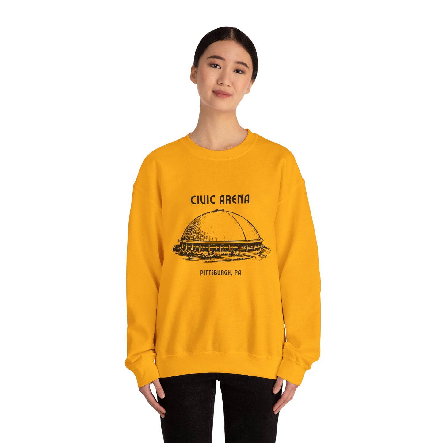 Vintage Pittsburgh Civic Arena Crewneck
